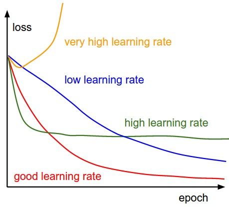 Learning rates